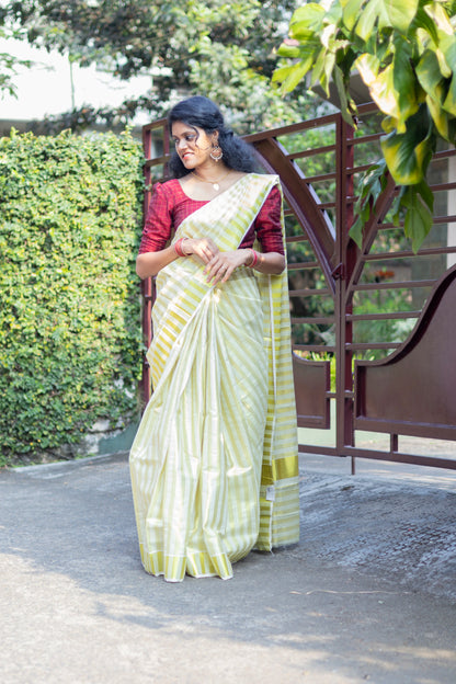 Tissue Saree with Golden Stripe