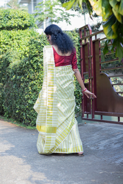 Tissue Saree with Golden Stripe